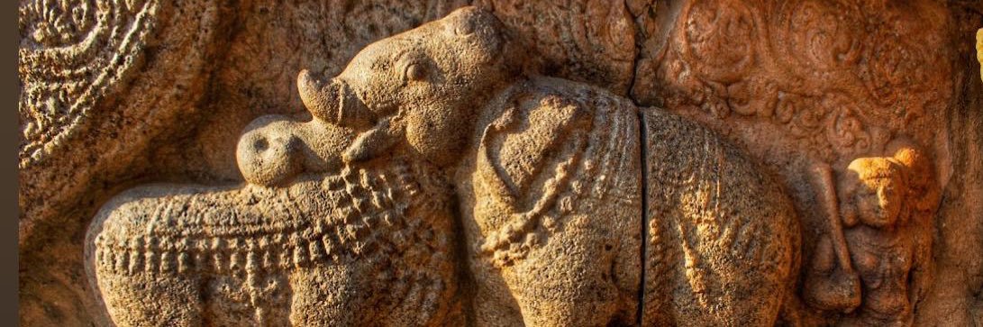 Sylvia Malinbaum banner