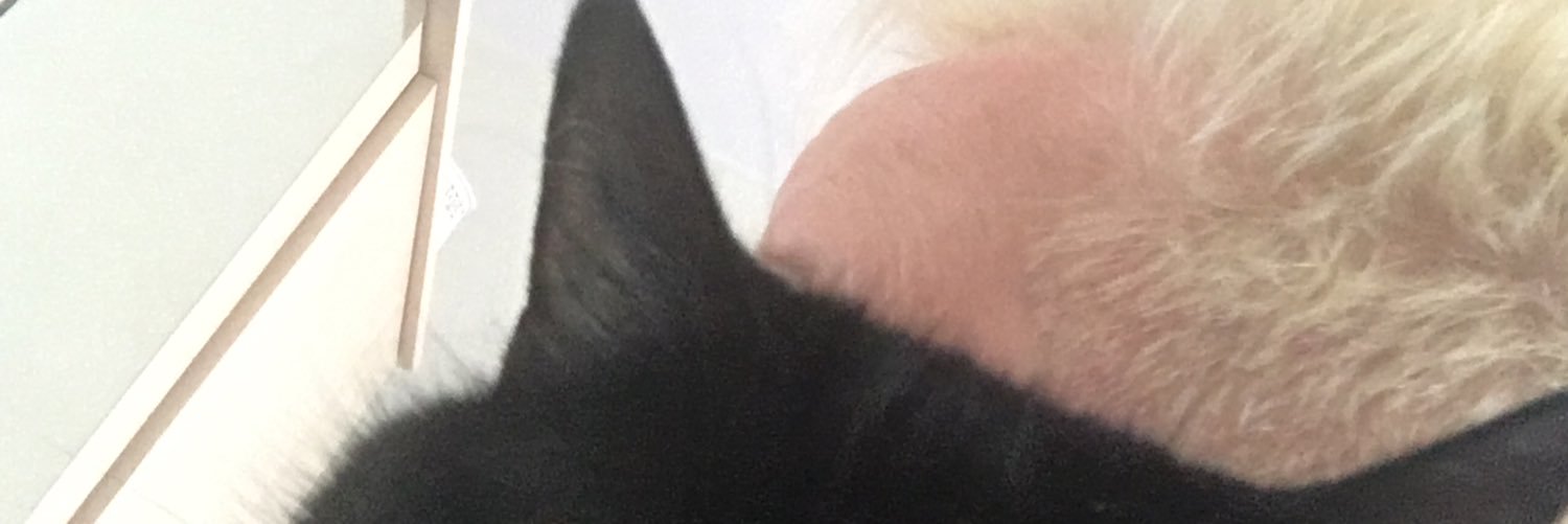 MrsDeWaal's profile banner image