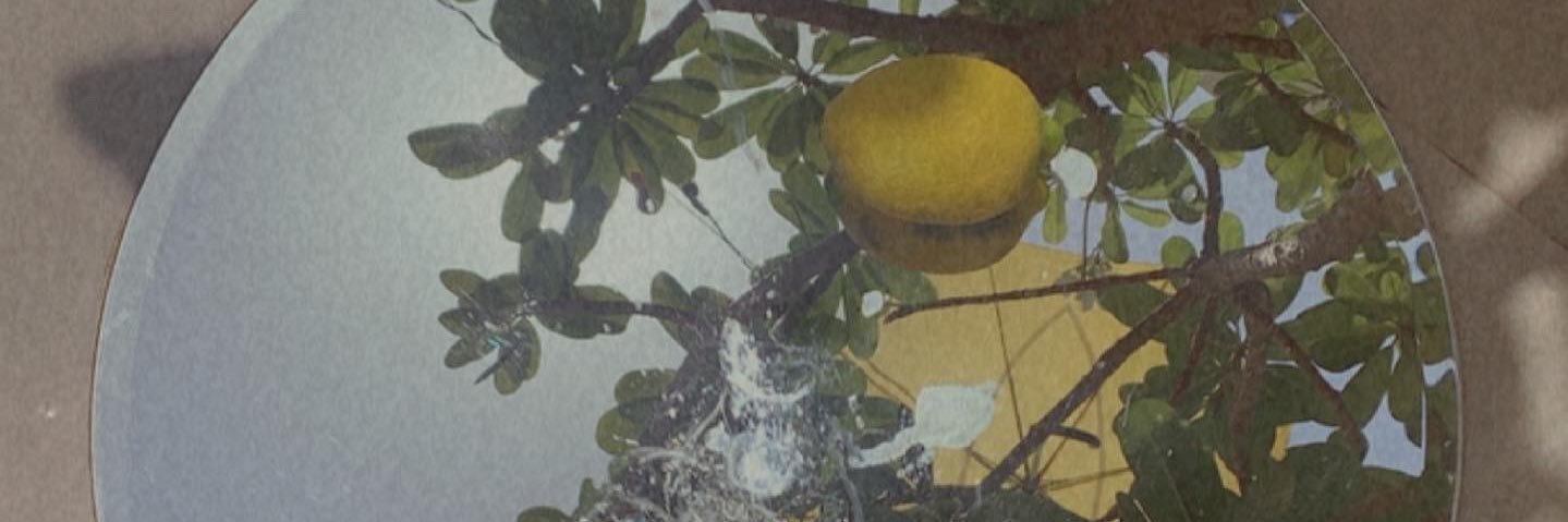 FtoomM7md's profile banner image