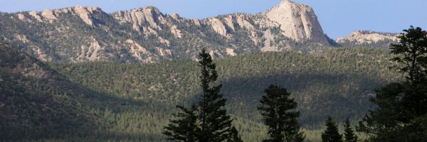 Kuivila Profile Banner