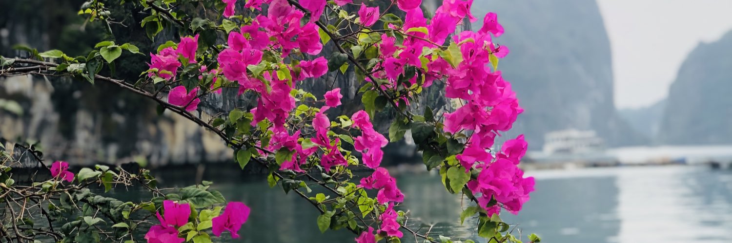 candelariapaz's profile banner image