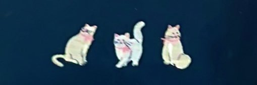 tokenpookie's profile banner image