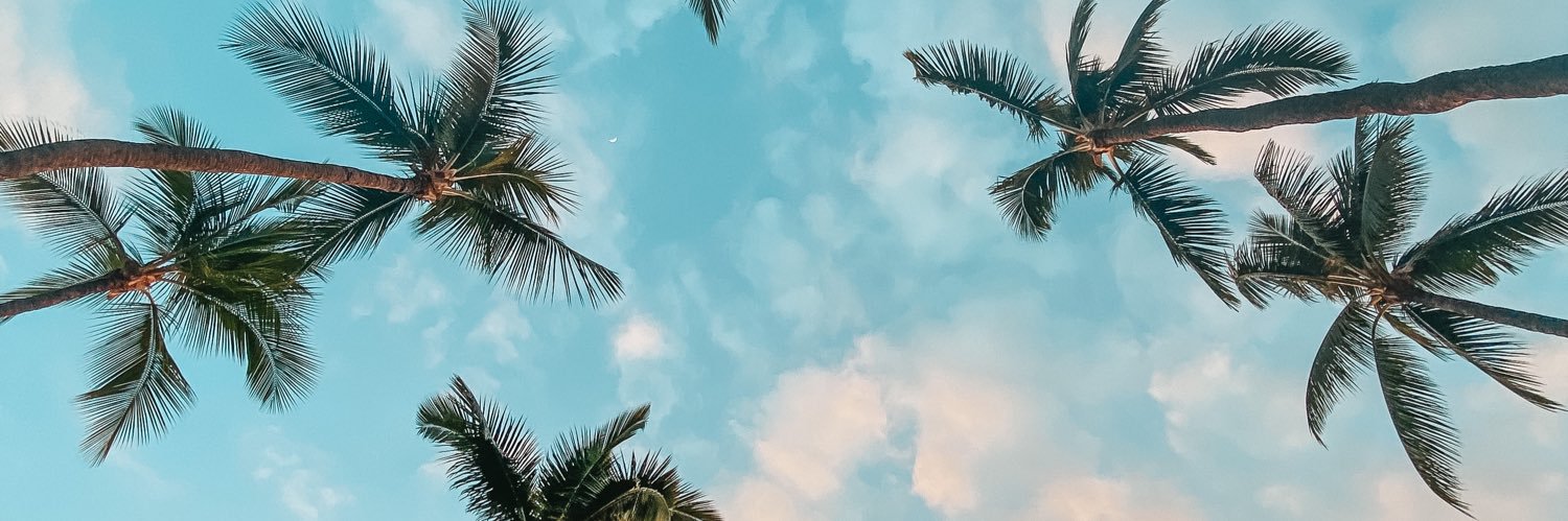 nonab_'s profile banner image