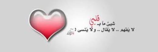shoshomay2011's profile banner image