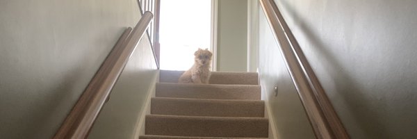 bevbighair Profile Banner