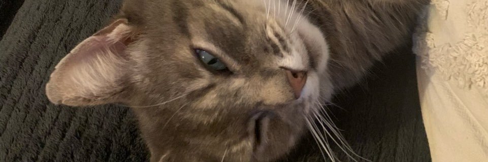 BeutsMan's profile banner image