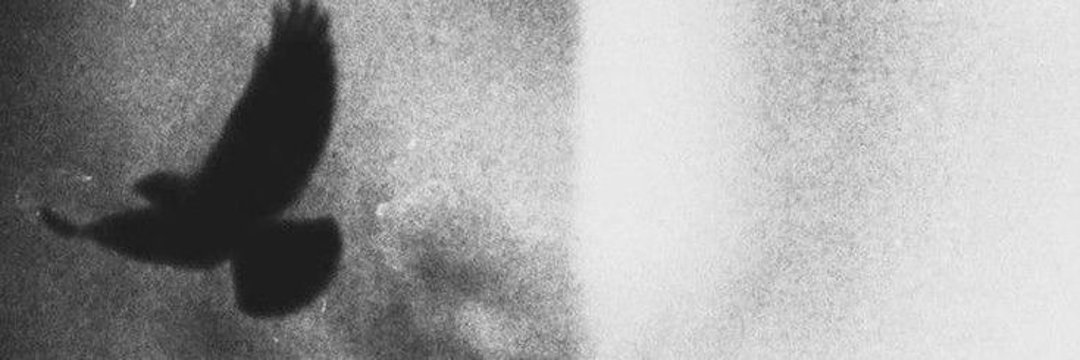 — 𝐌ᴇɢᴀɴ. 🤙 banner