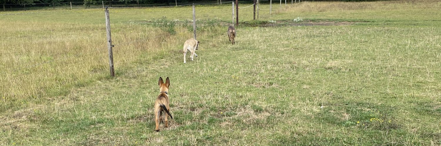 Claire Mitchell banner