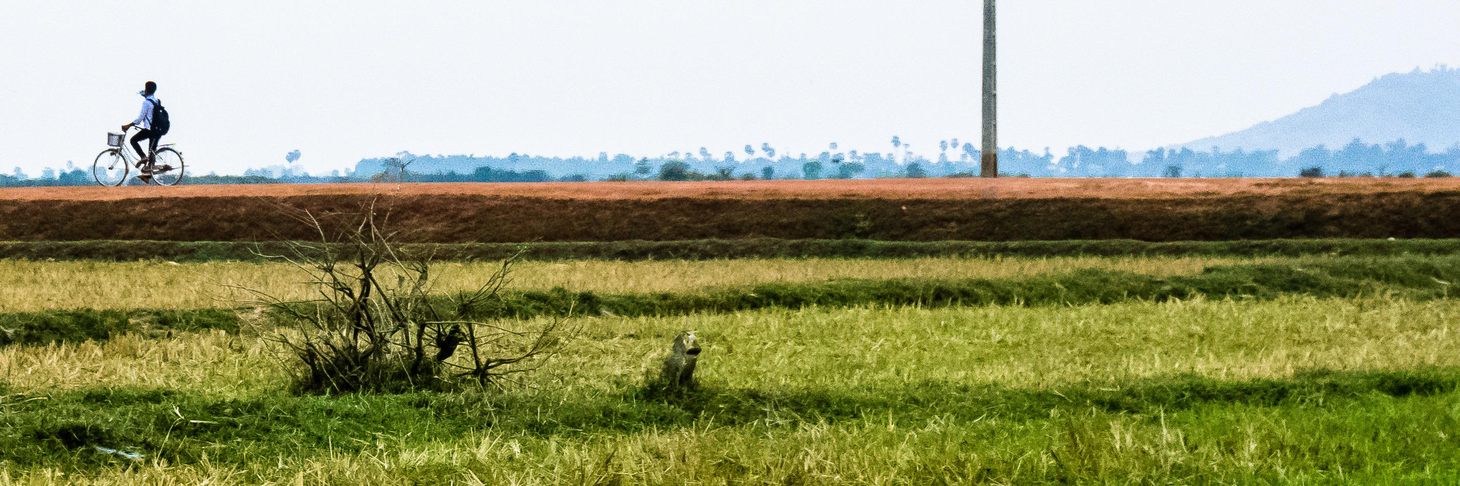madebypOc's profile banner image