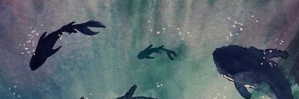crosjk's profile banner image