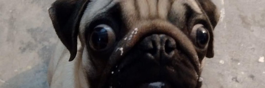 lui5fernando's profile banner image