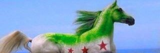 Majdjadaan's profile banner image