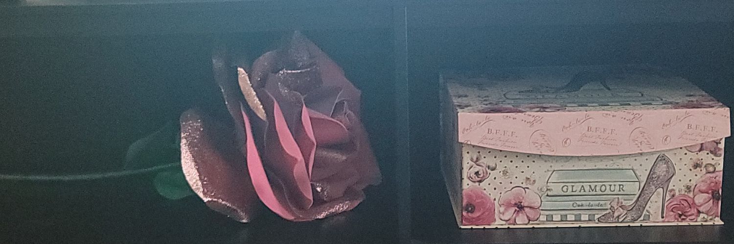 eileenperez22's profile banner image