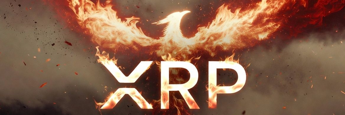 Spencer banner