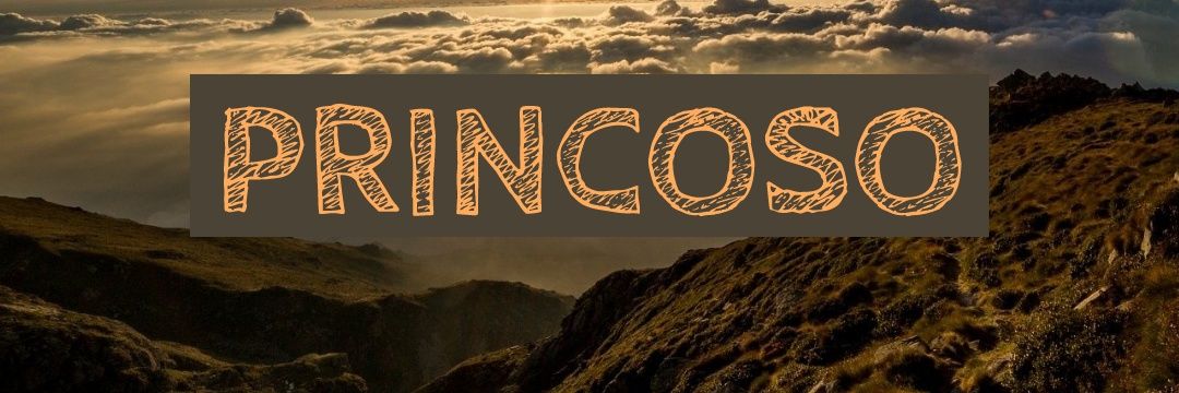 HPRINCO's profile banner image