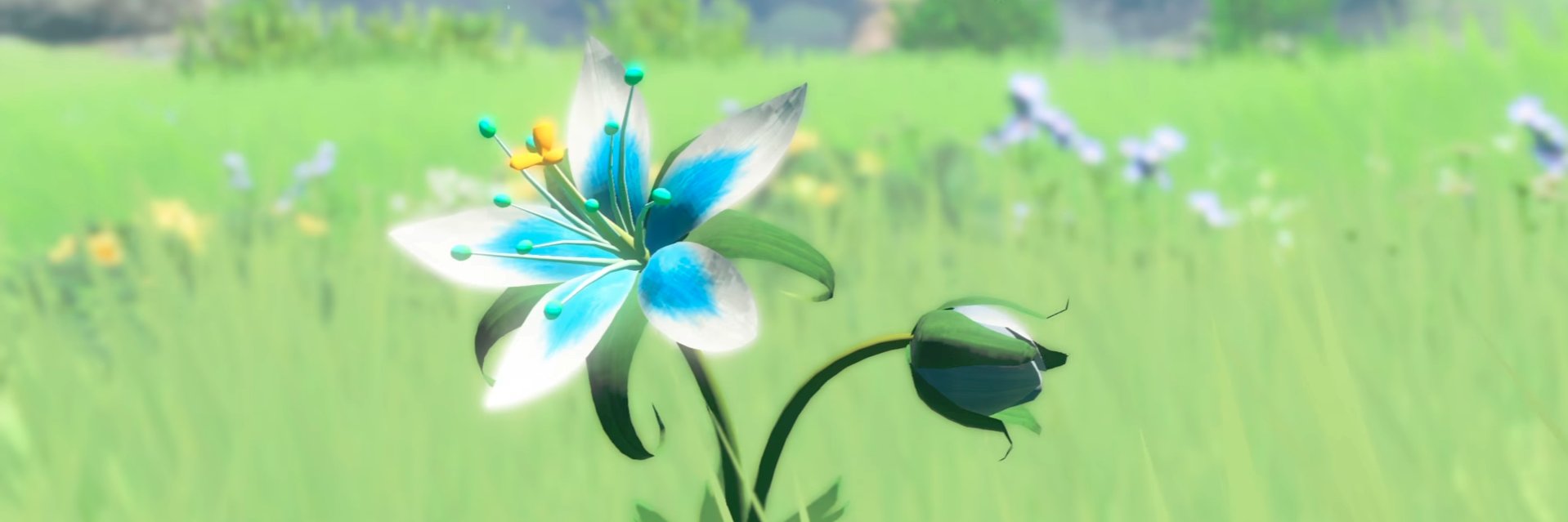 Proxence's profile banner image