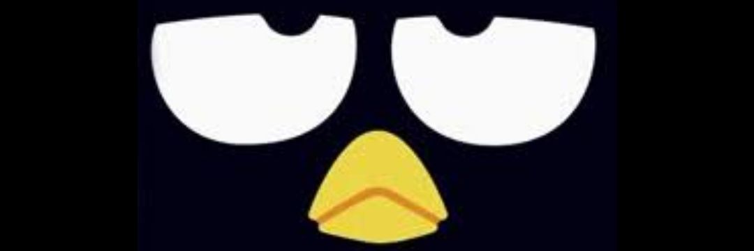 raco0on's profile banner image