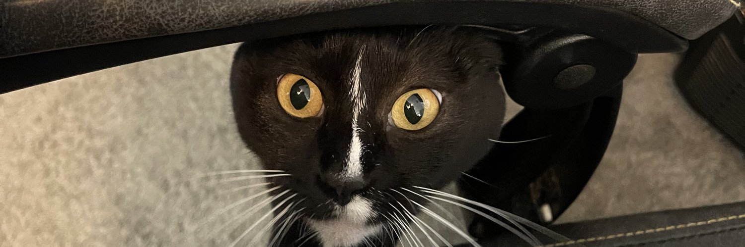 Corbmue5's profile banner image