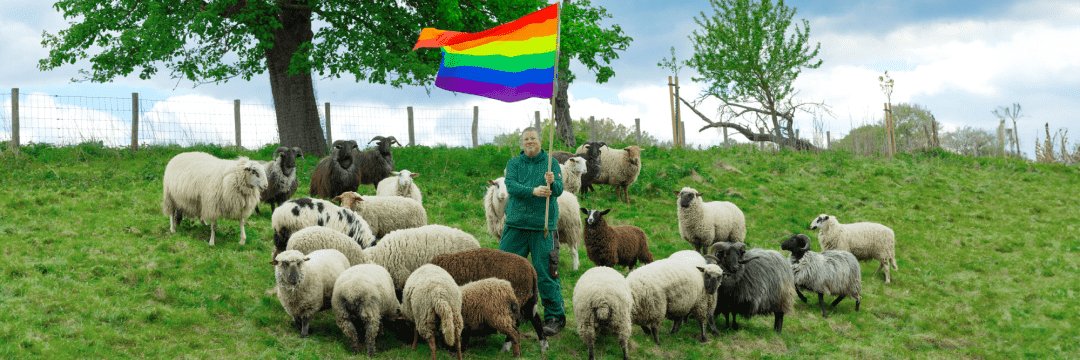 Rainbow Wool Coin banner