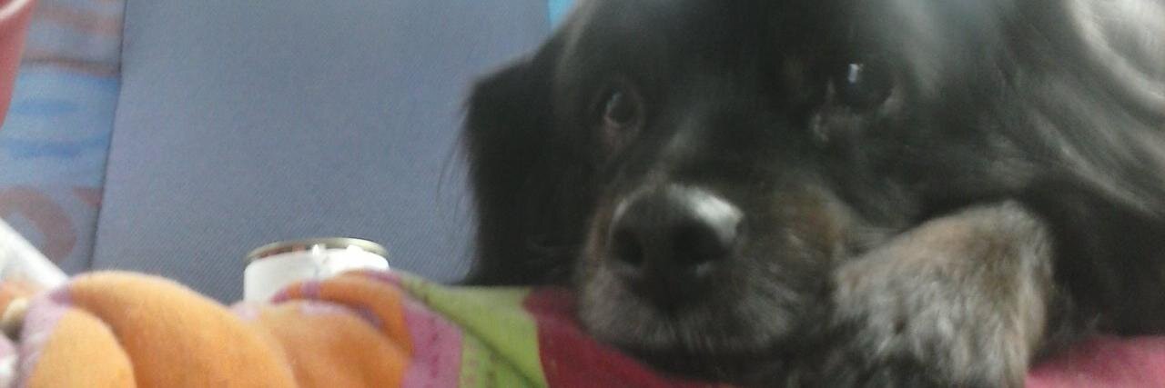 ;Barbara 🐱|🐱♥️🐱 ❤| banner