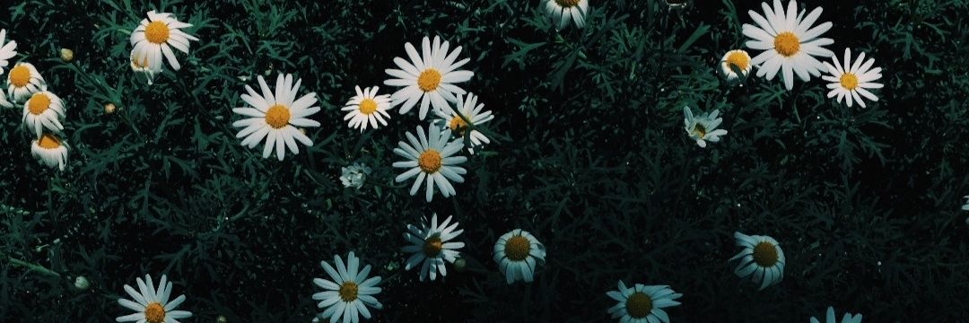 GCammmila's profile banner image