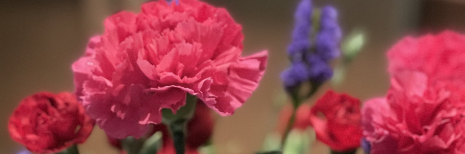 Magdiel1996's profile banner image