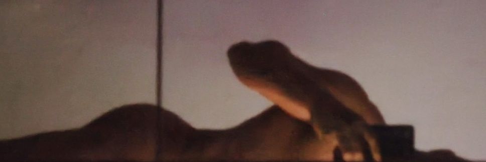 Deixa em off 🍑 banner