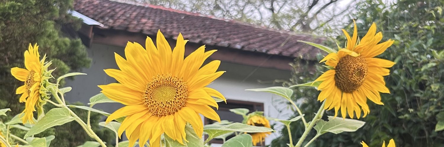 _llli33's profile banner image
