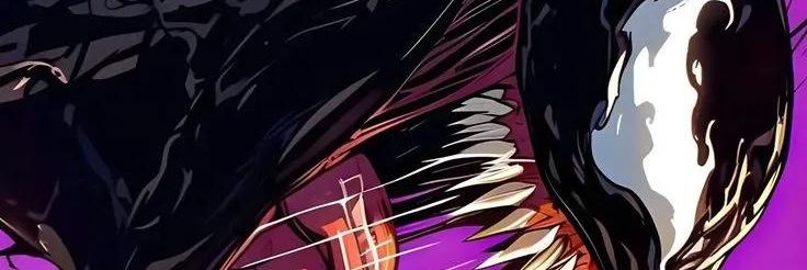 Roberto banner