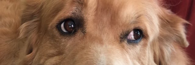 kthenchy's profile banner image