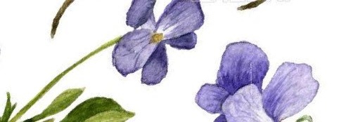 stephenross054's profile banner image
