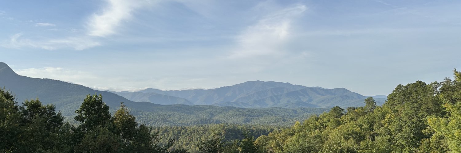 Bearded Dragon banner