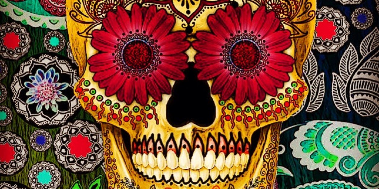 nbell6's profile banner image