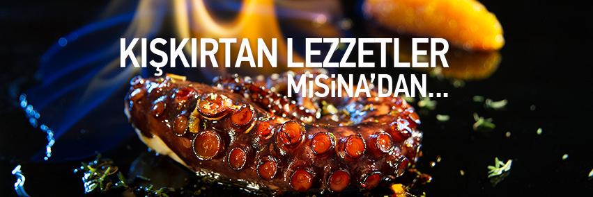misinabalik's profile banner image
