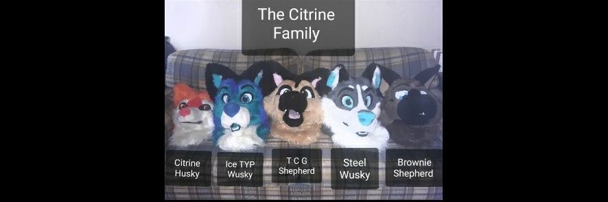 CitrineHusky's profile banner image