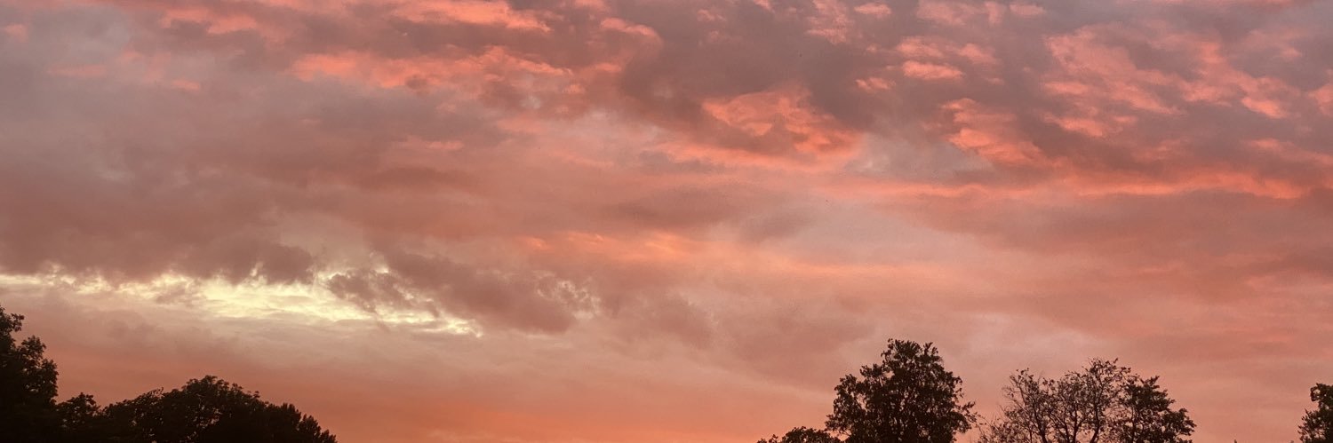 lovisaaivung's profile banner image