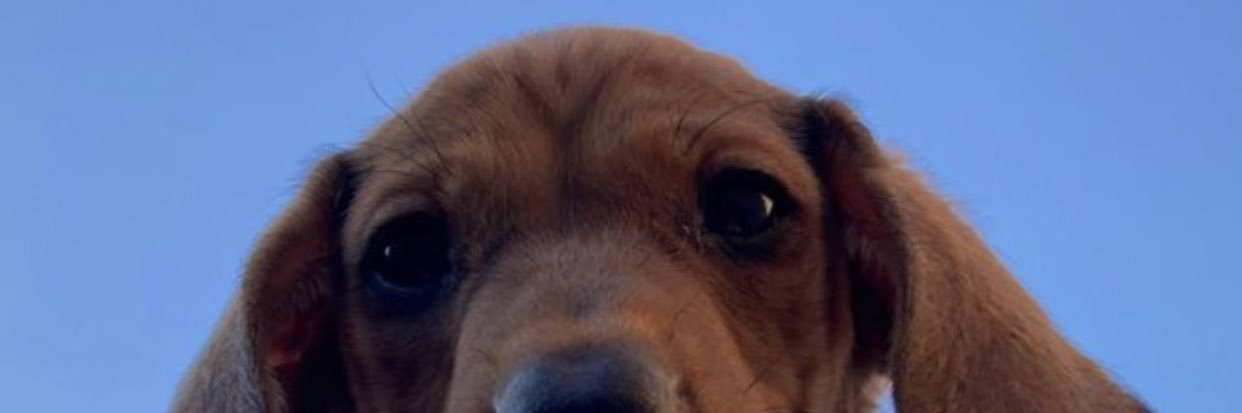 roobravo_'s profile banner image