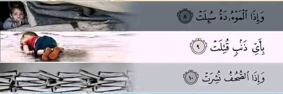 جناب العمدة𓅓』 banner