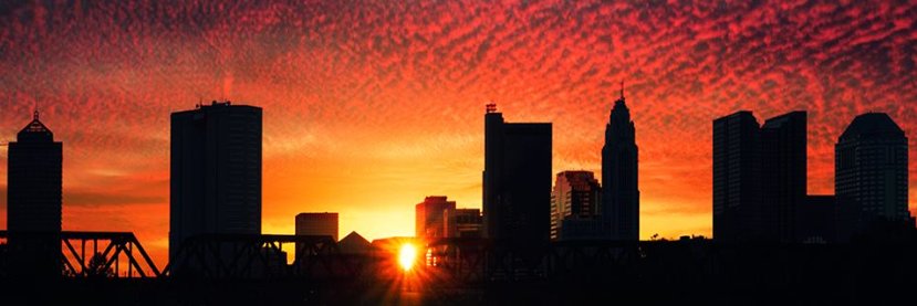 Chris Bradley banner