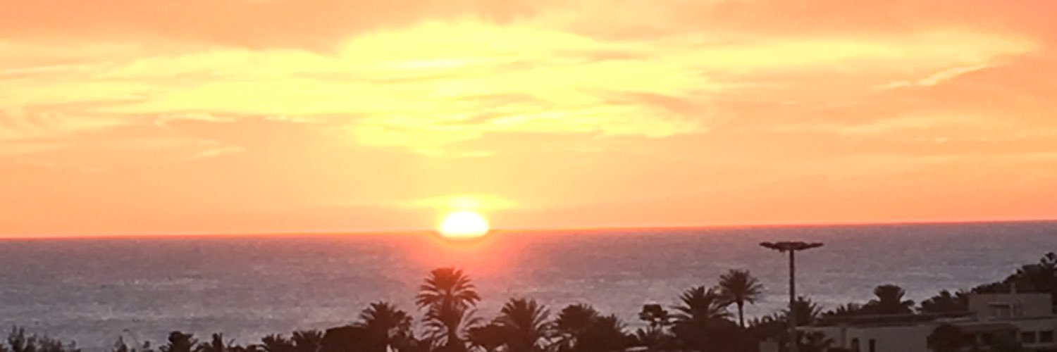 Shufelka's profile banner image