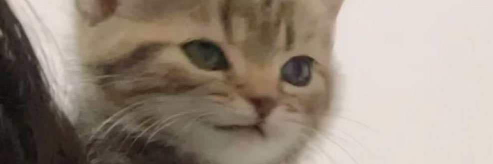 dea🔞 | cek bio dulu pls banner