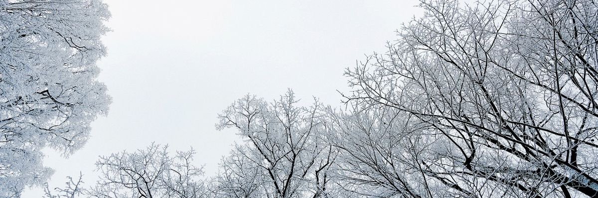 a banner