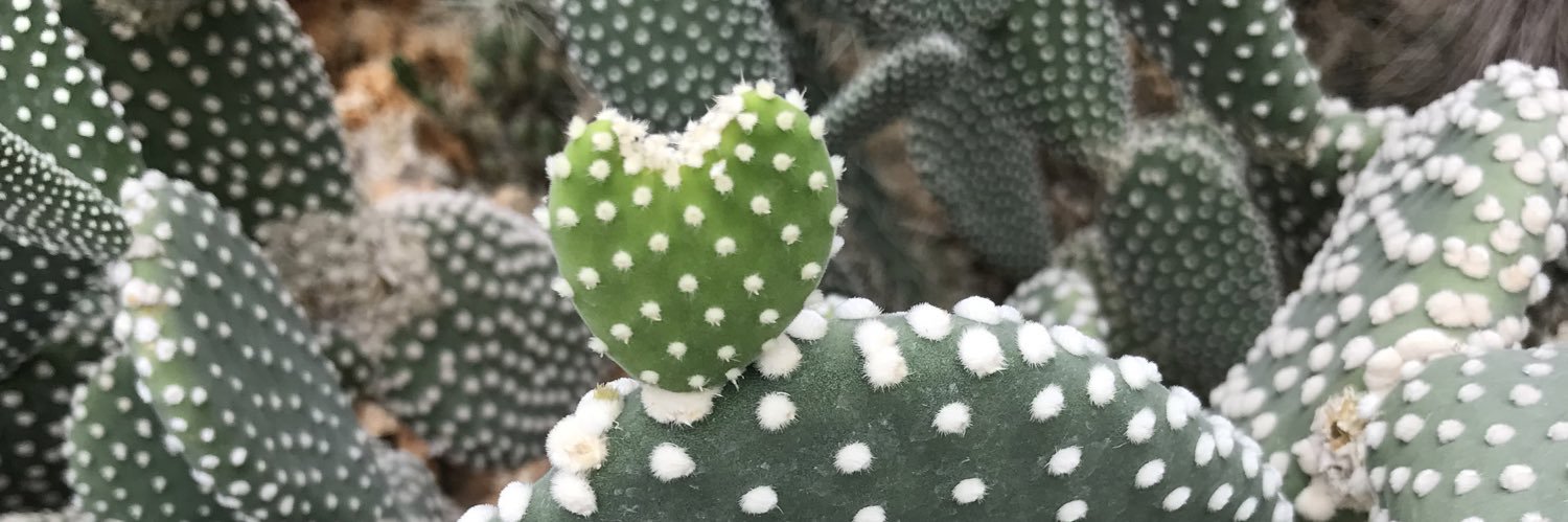 Marie 🤦🏼‍♀️ banner