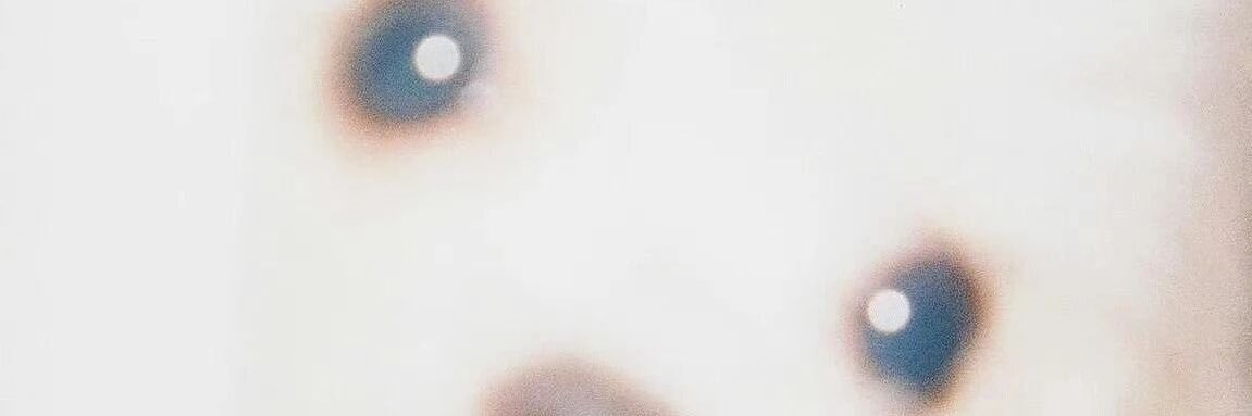 清- banner