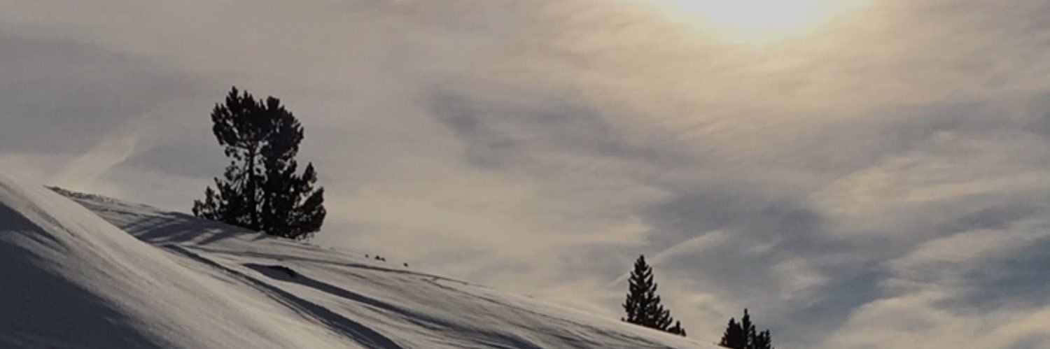 alex3962's profile banner image