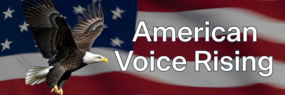 amvoicerising's profile banner image