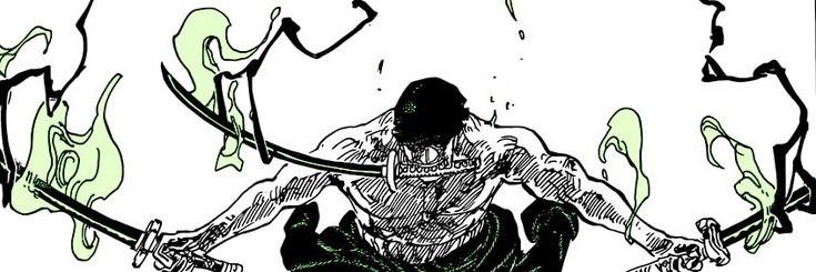 Zoro's banner