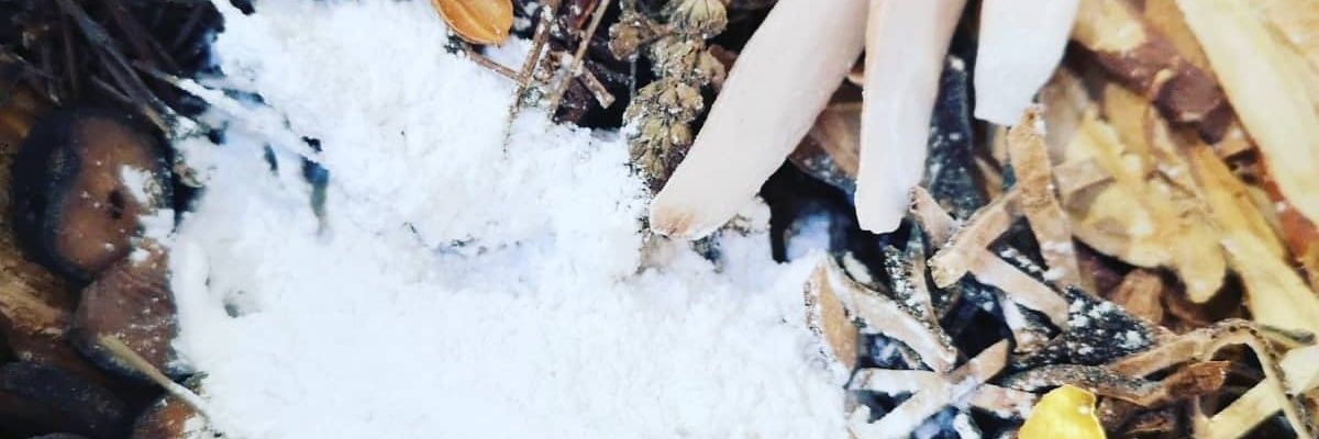 Dragonstyle Herbs and Martial Arts banner