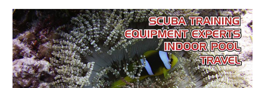 GroundhogDivers's profile banner image