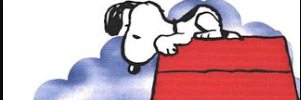 WOODSTOCKYE's profile banner image